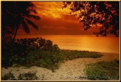paradis
