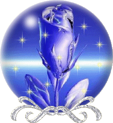 rose magique